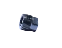 Throttle Valve Plug