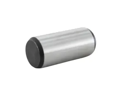 Plunger Latch