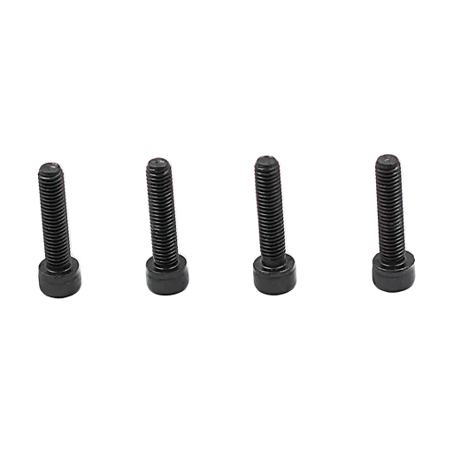Socket head cap screw (M8)
