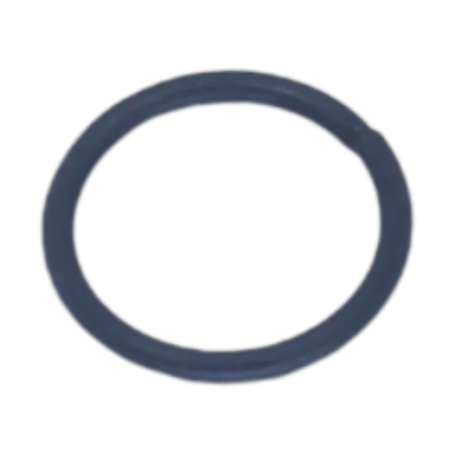 Ring - valve seal retaining