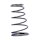 THROTTLE VALVE SPRING