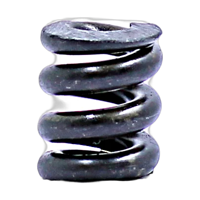 PLUNGER SPRING