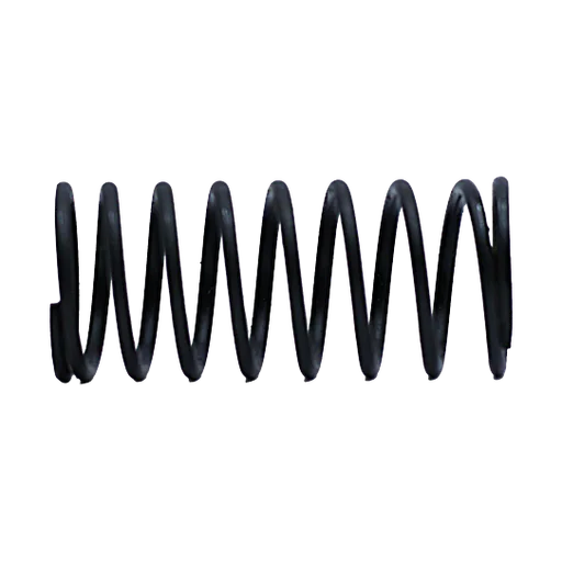 Throttle Valve Spring