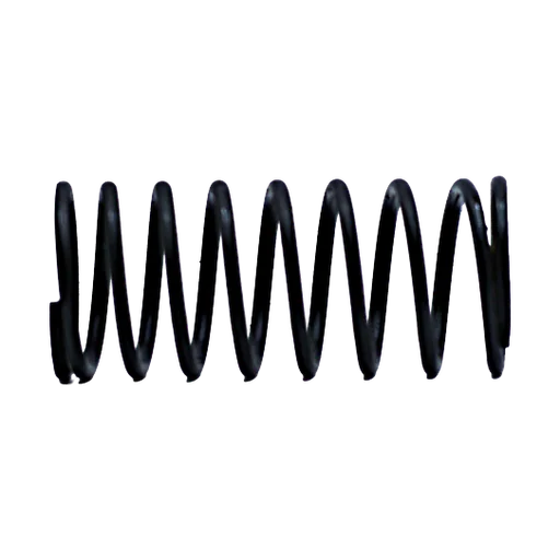 Throttle Valve Spring