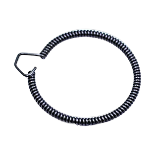 Lock Spring