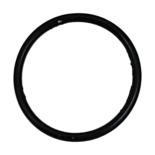 Throttle Valve O Ring