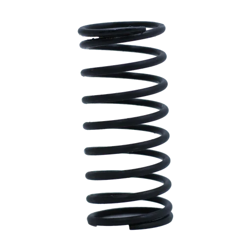 Throttle Valve Spring