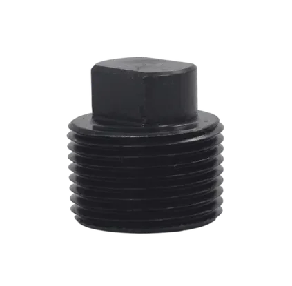 Throttle Valve Plug