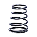 Throttle Valve Spring