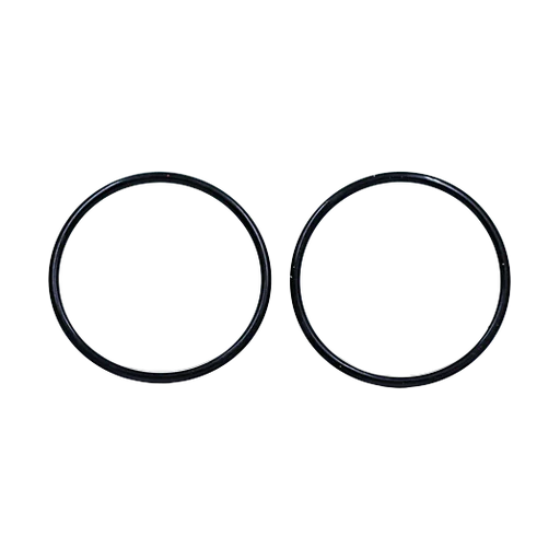 O-RING (BEARING)
