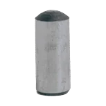 Pawl pin