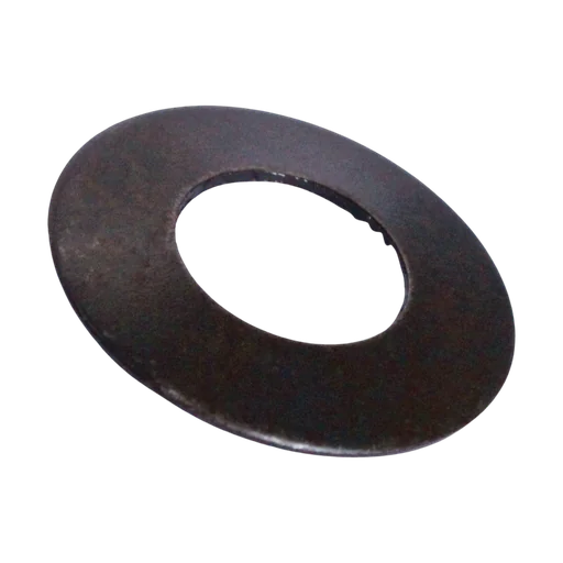 WASHER SPRING DISC