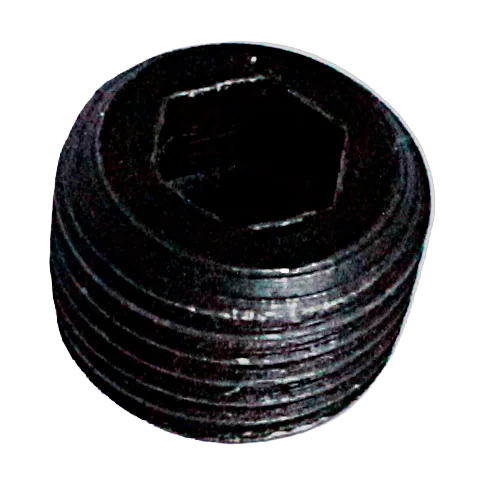 PLUG, THROTTLE DETENT