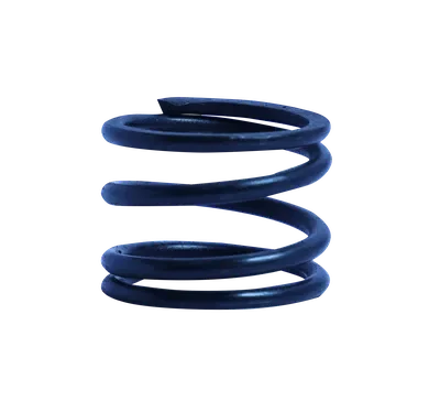 Throttle Valve Spring